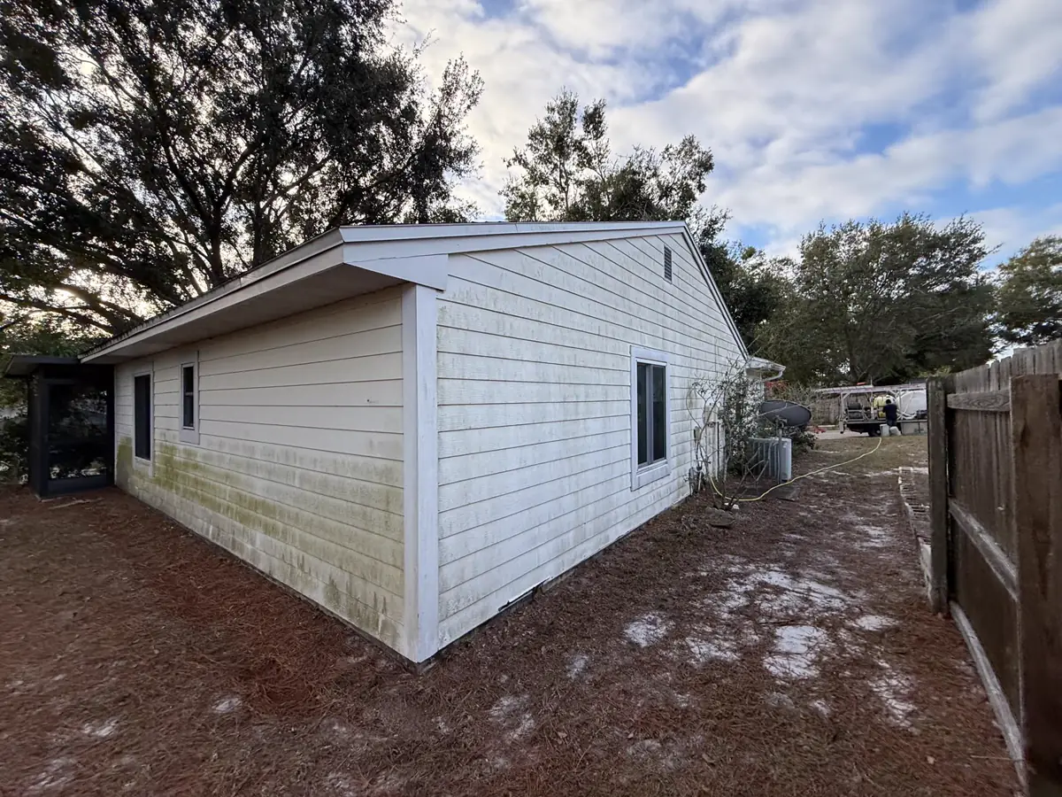 Green algae-covered siding on Tampa Bay home before JAB soft wash