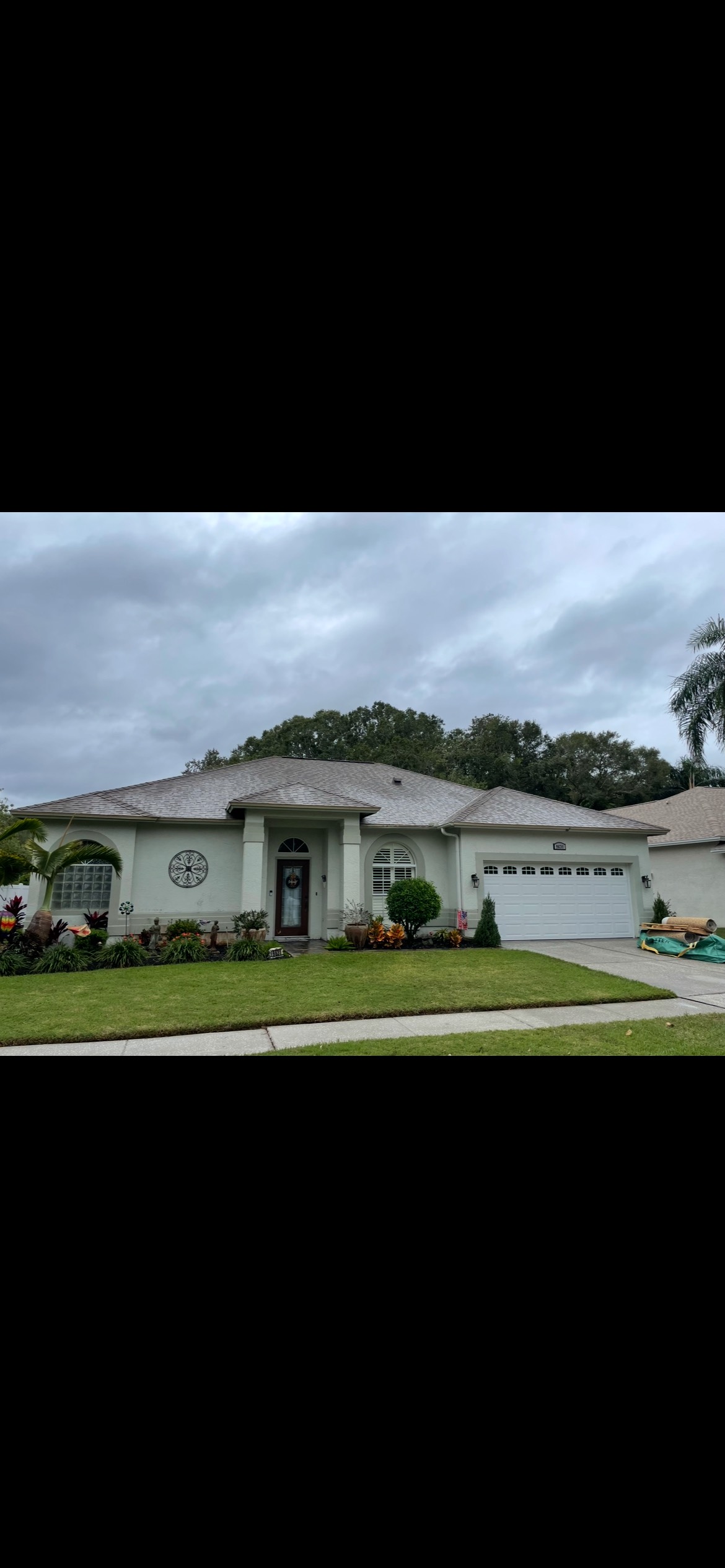 Roof after soft wash cleaning in Trinity