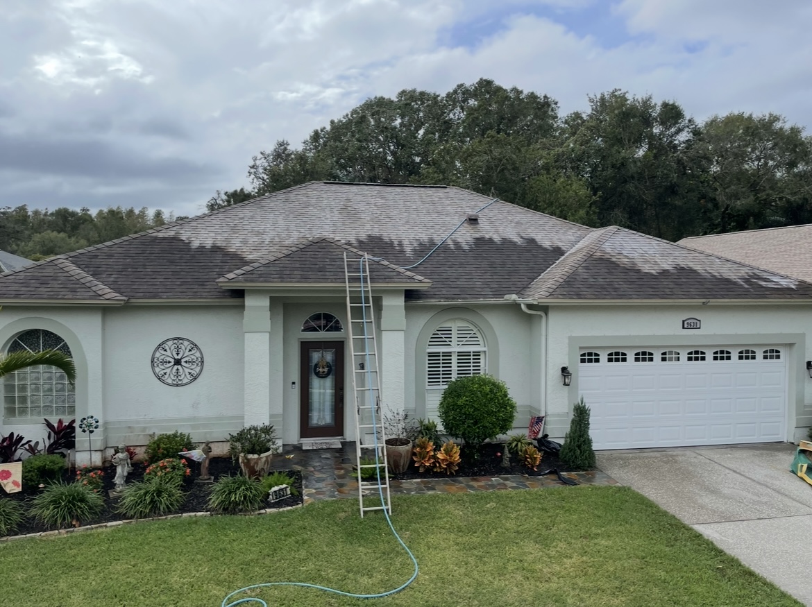 Driveway after pressure washing in Trinity