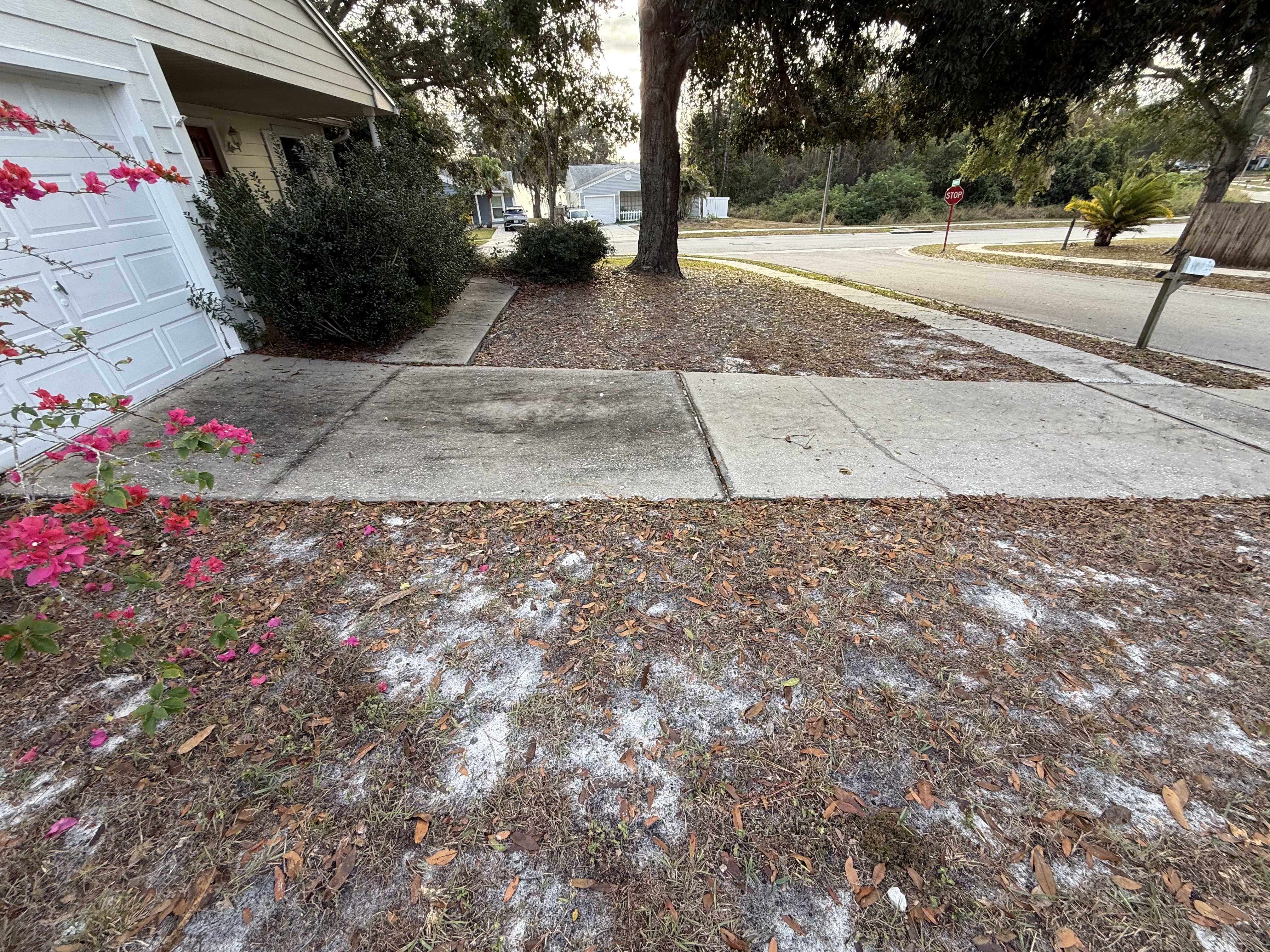Driveway before pressure washing in Trinity