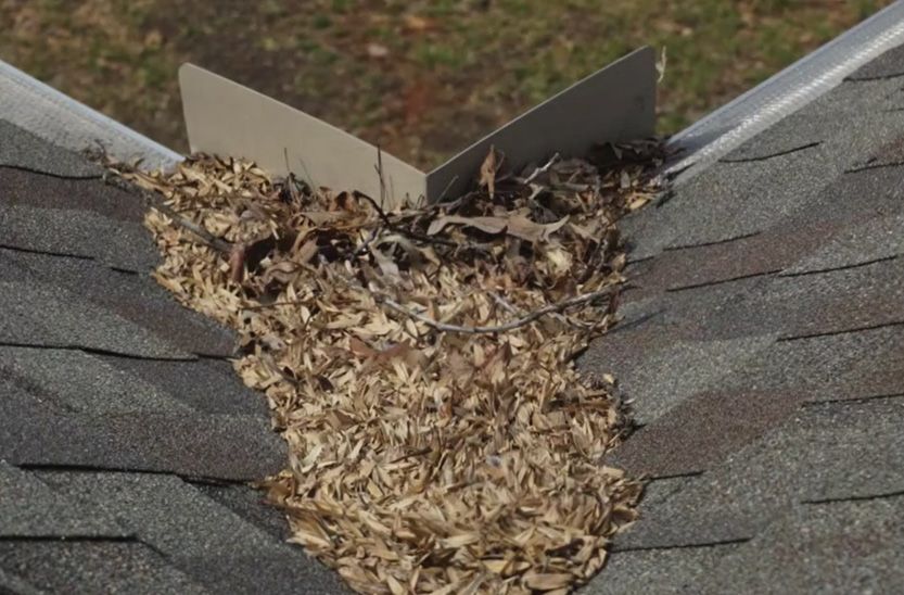 Gutters clogged with leaf debris, a common Tampa Bay issue JAB clears