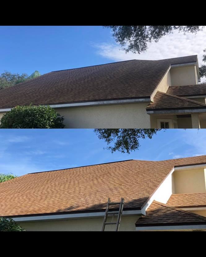 Roof soft wash cleaning
