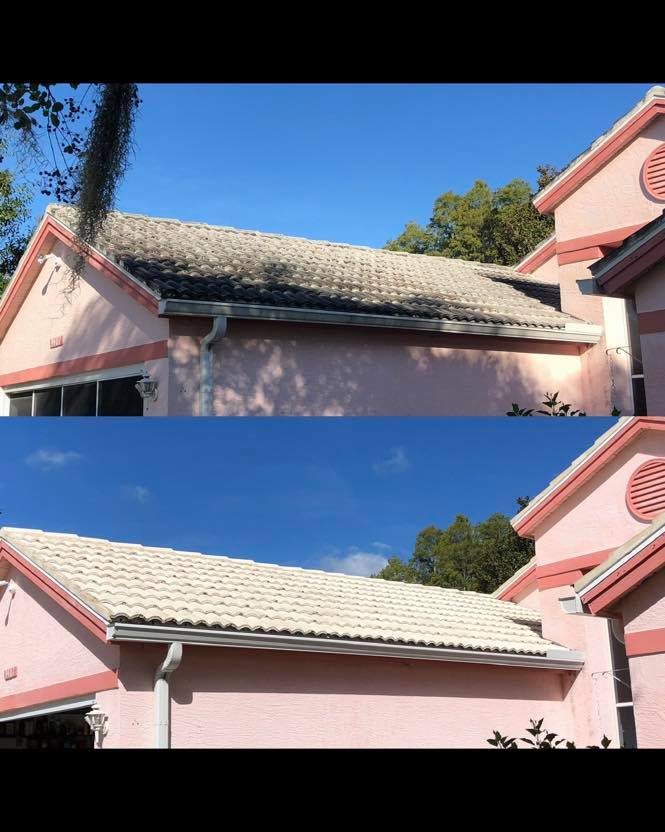 Roof soft wash cleaning results